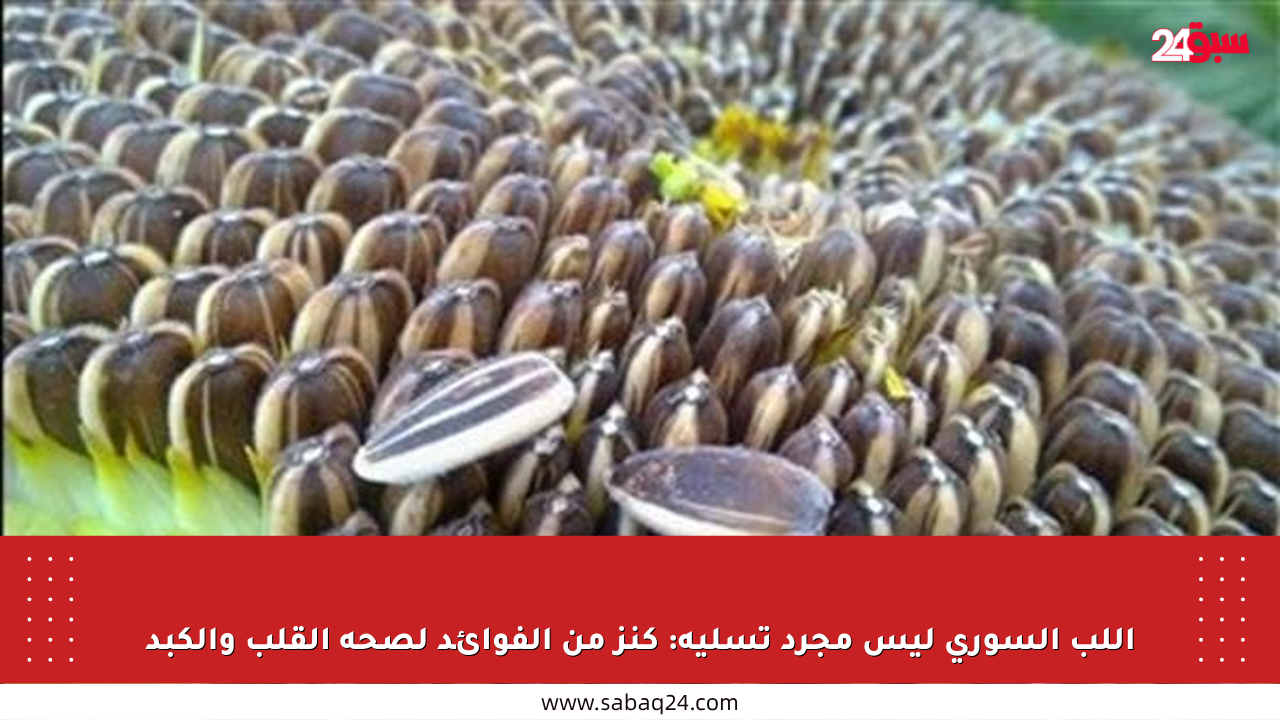 اللب السوري ليس مجرد تسلية: كنز من الفوائد لصحة القلب والكبد